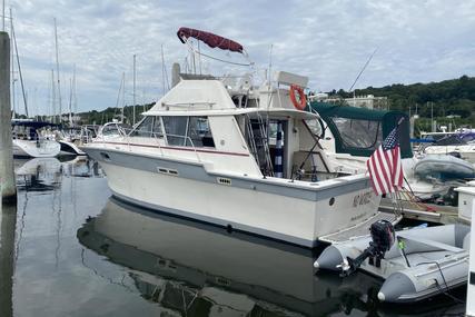 Silverton 34’ Flybridge for sale in United States of America for $14,999 (£12,407) Silverton 34’ Flybridge for sale in United States of America for $14,999 (£12,407)