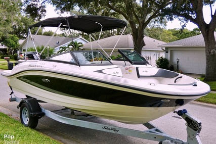 Sea Ray SPX 190 Outboard for sale in United States of America for $35,000 (£28,643)