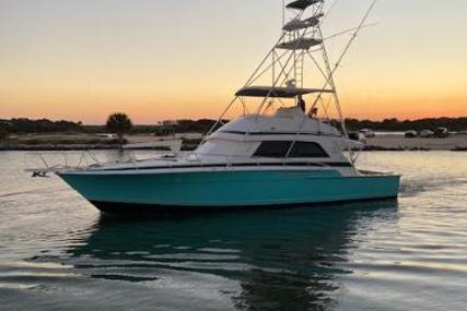 Bertram 50 Convertible for sale in United States of America for $159,000 (£131,281)