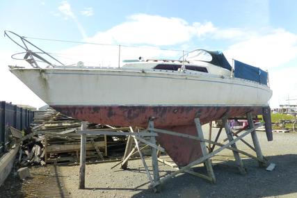 Newbridge Spinner 28 for sale in United Kingdom for £4,950