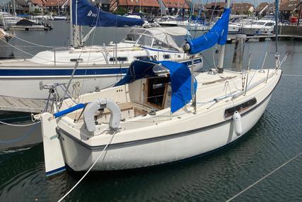 Hallberg-Rassy 26 for sale in United Kingdom for £24,950