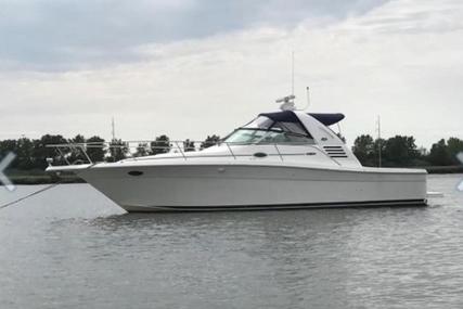 Sea Ray 340 Amberjack for sale in United States of America for $94,500 (£84,753)