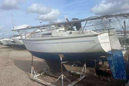 Sadler 29 for sale in United Kingdom for £7,950