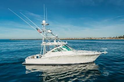 CABO Express for sale in United States of America for $695,000 (£568,521)