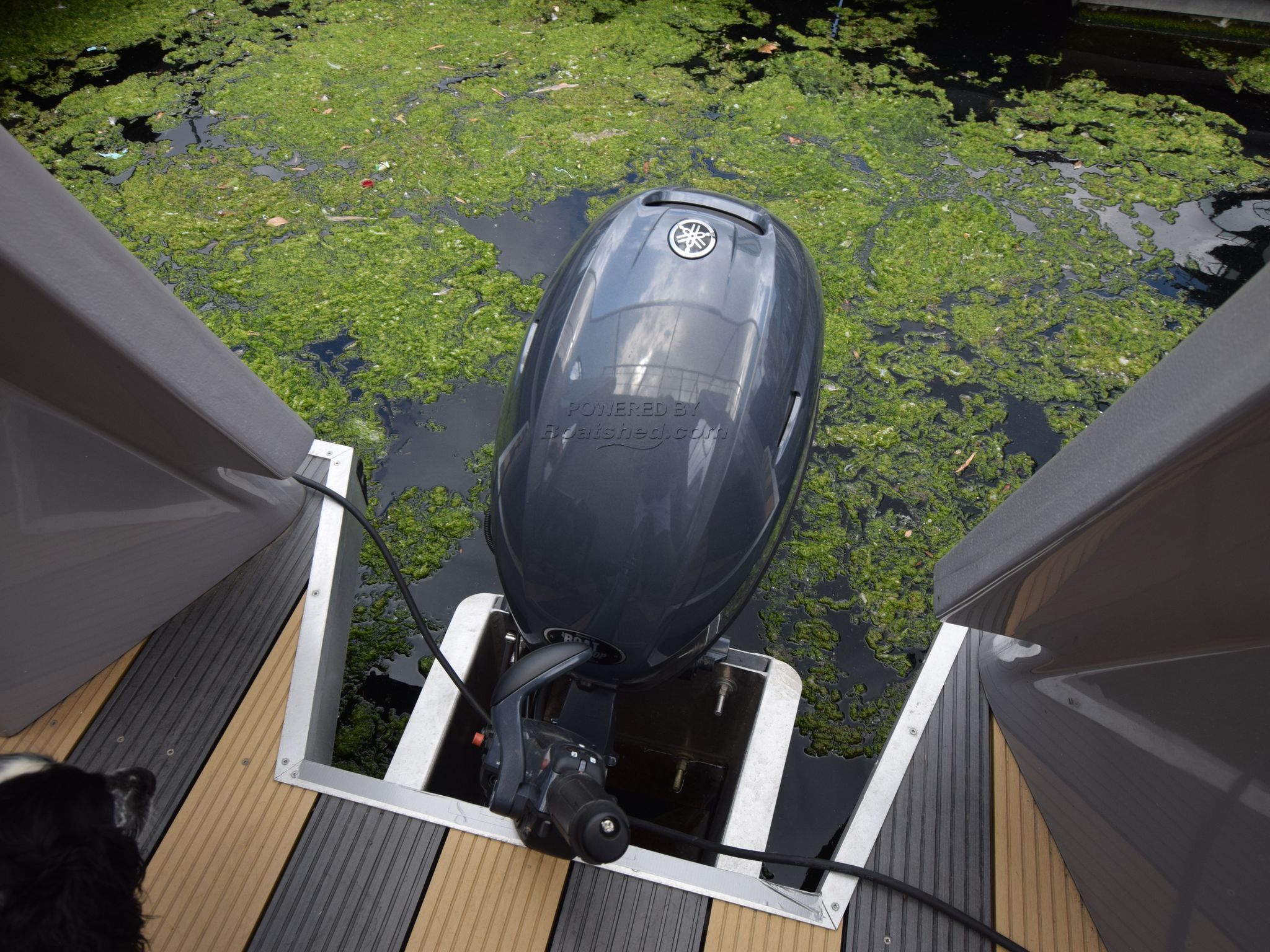 Float8 Houseboat with London mooring for sale Rightboat