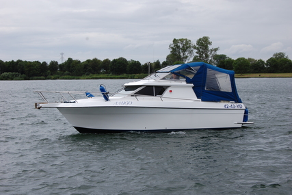 International SPEEDCRUISER for sale in Netherlands for €7,500 (£6,586)