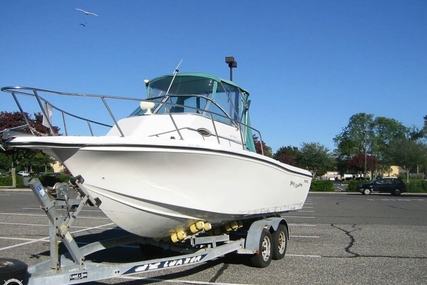 Baha Cruisers 240 WAC for sale in United States of America for $13,500 (£9,611)