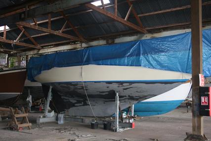 Classic Holman Sterling Bm Sloop for sale in United Kingdom for £10,000