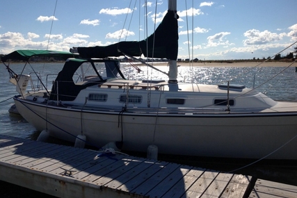 Pearson 303 for sale in United States of America for $18,900 (£14,265)