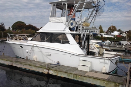 Trojan F36 Flybridge for sale in United States of America for $19,900 (£15,056)
