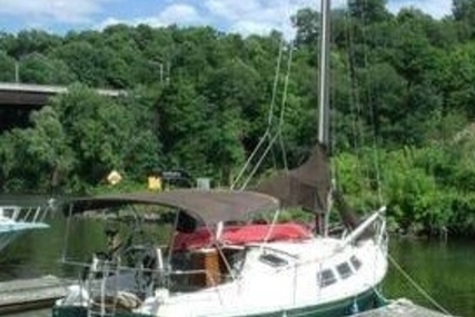 Freedom Yachts 32 for sale in United States of America for $19,999 (£15,095)