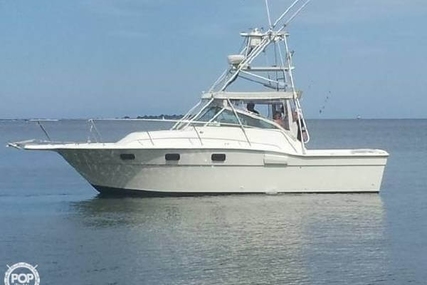 Aquasport 290 Express Fisherman for sale in United States of America for $13,000 (£9,144)