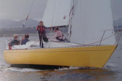 Sadler 25 for sale in United Kingdom for £4,995