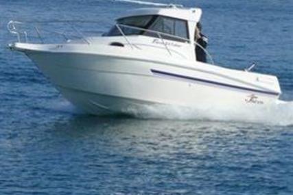 Shiren 24 FISHER for sale in Italy for €35,000 (£30,490)