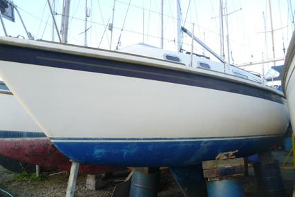 Westerly Griffon for sale in United Kingdom for £6,500