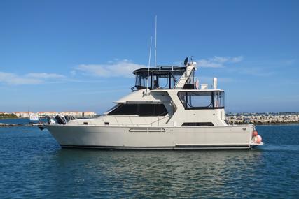 ANGEL MARINE Trader 48 Cockpit Motor Yacht for sale in United States of America for $99,000 (£69,542)