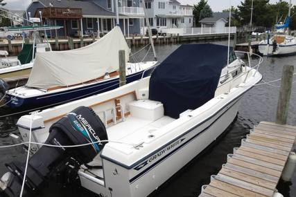Grady-White Offshore 24 for sale in United States of America for $13,900 (£10,476)