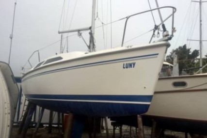 Catalina 250 for sale in United Kingdom for £13,995