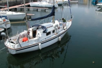 Westerly 31 Berwick for sale in Ireland for €14,500 (£12,726)