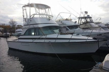 Bertram 35 Convertible for sale in United States of America for $43,500 (£30,832)