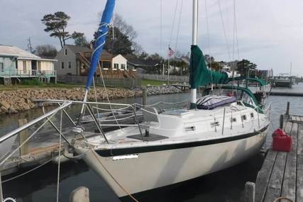Irwin Yachts 34 for sale in United States of America for $20,000 (£14,281)