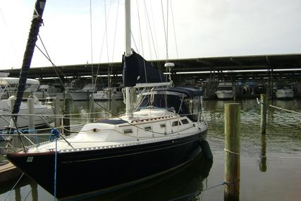 Islander 36 Sloop for sale in United States of America for $35,900 (£27,065)