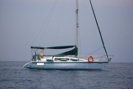 Atlas Boat Works 900 for sale in Spain for €17,500 (£15,389)