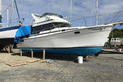 Bayliner 3288 Flybridge for sale in United Kingdom for £35,000
