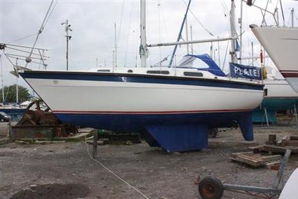 Colvic Countess 28 for sale in United Kingdom for £15,000