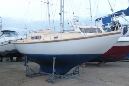 Wing 25 Mk III for sale in United Kingdom for £6,950