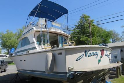 Bertram 34 for sale in United States of America for $27,000 (£20,428)