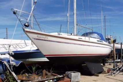 Sadler 29 for sale in United Kingdom for £15,995