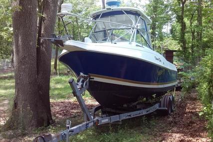 Aquasport 250 Explorer for sale in United States of America for $21,900 (£17,168)