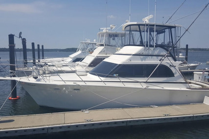 Egg Harbor Golden Egg 38 for sale in United States of America for $93,000 (£72,782)