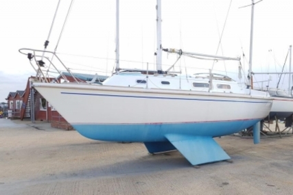 Westerly 26 Griffon for sale in United Kingdom for £7,950