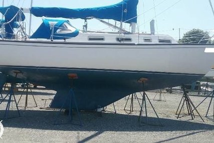 Grampian 30 for sale in United States of America for $13,900 (£9,925)