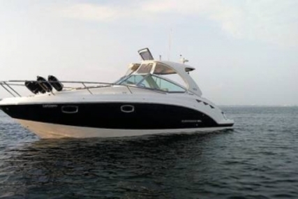 Chaparral 310 Signature for sale in United Kingdom for £134,995