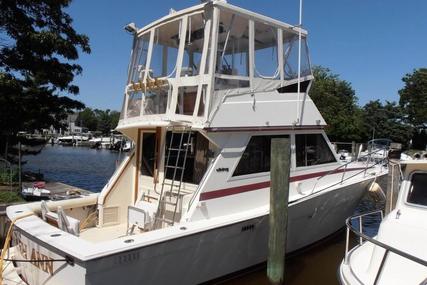 Viking Yachts Open Bridge for sale in United States of America for $21,500 (£16,347)