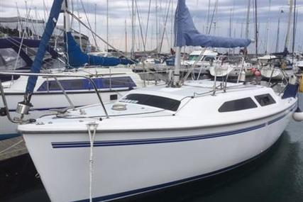 Catalina 250wk for sale in United Kingdom for £9,700