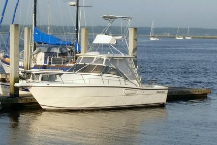 Shamrock 290 Offshore for sale in United States of America for $68,000 (£51,741)