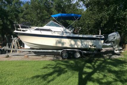 Wellcraft 248 Sportsman for sale in United States of America for $12,500 (£8,926)