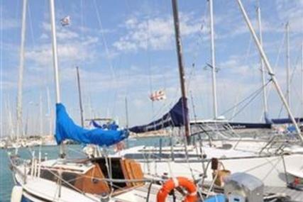 Sibma (5) EM 8.50 for sale in Italy for €12,000 (£10,454)