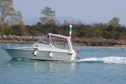 Fjord 24 for sale in Italy for €15,000 (£13,067)