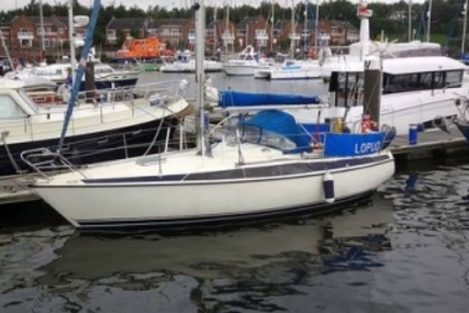 Maxi 100 for sale in United Kingdom for £17,500