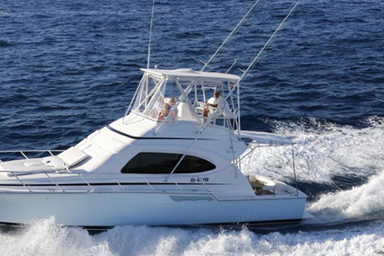 Bertram 390 for sale in Netherlands for €315,000 (£277,003)