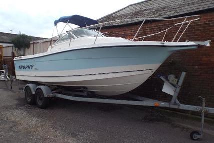 Trophy 2352 Walkaround for sale in United Kingdom for 39.995 £