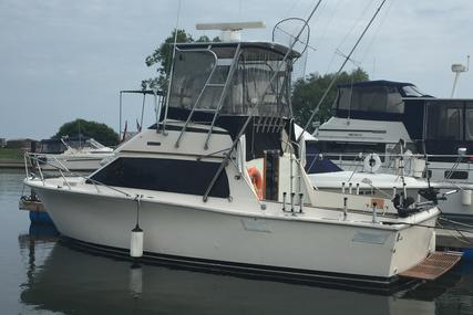 Pacemaker 30 Sportfisherman for sale in Canada for P.O.A.