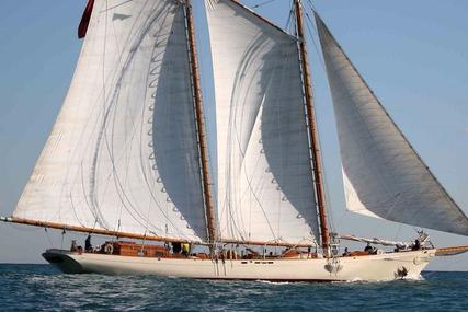 GOUDY & Stephens Goletta AMERICA for sale in Italy for P.O.A.