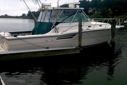 Pursuit Express 3400 for sale in United States of America for $69,997 (£54,552)