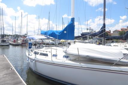 Catalina 30 MkII for sale in United States of America for $23,000 (£16,156)